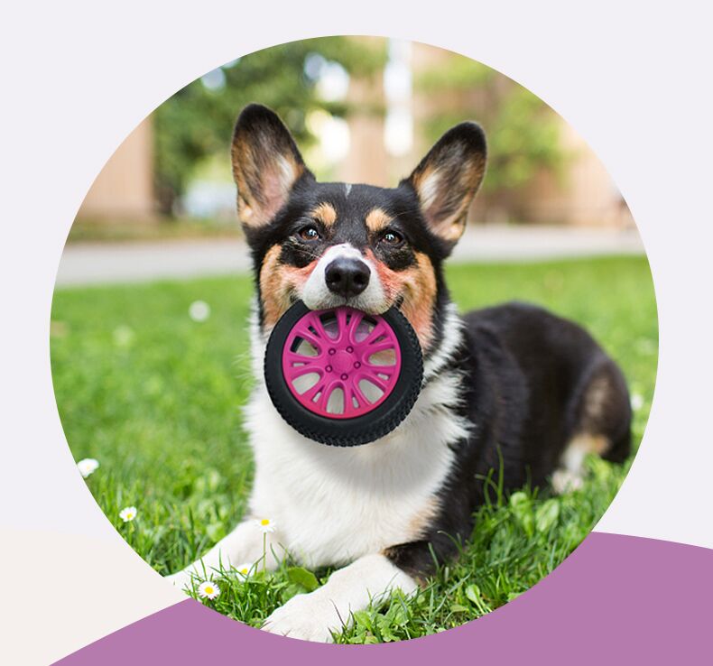 PETOPIA Ultra Tough Dog Toy Crazy Tyre