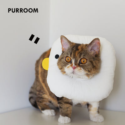 PURROOM Pet Recovery Collar - Chick Large