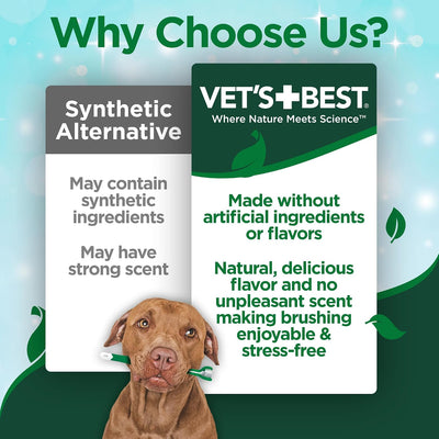 VET'S BEST Enzymatic Dog Toothpaste 99G (Made in USA)