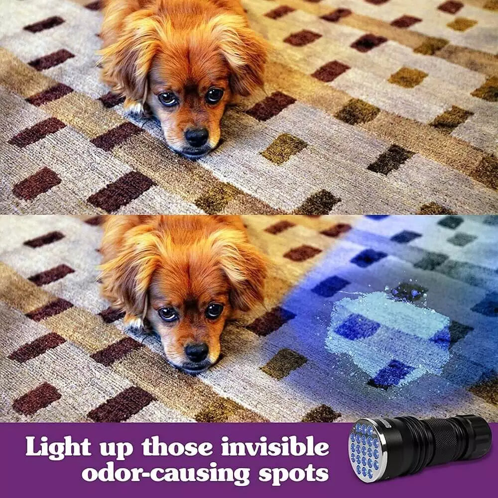 SIMPLE SOLUTION UV Spot Spotter