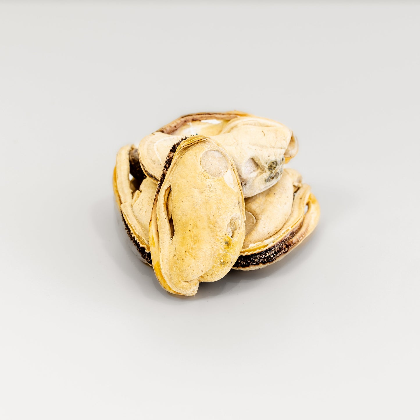 RAFA Raw Freeze-Dried Treats | Human-Grade Green Lipped Mussels