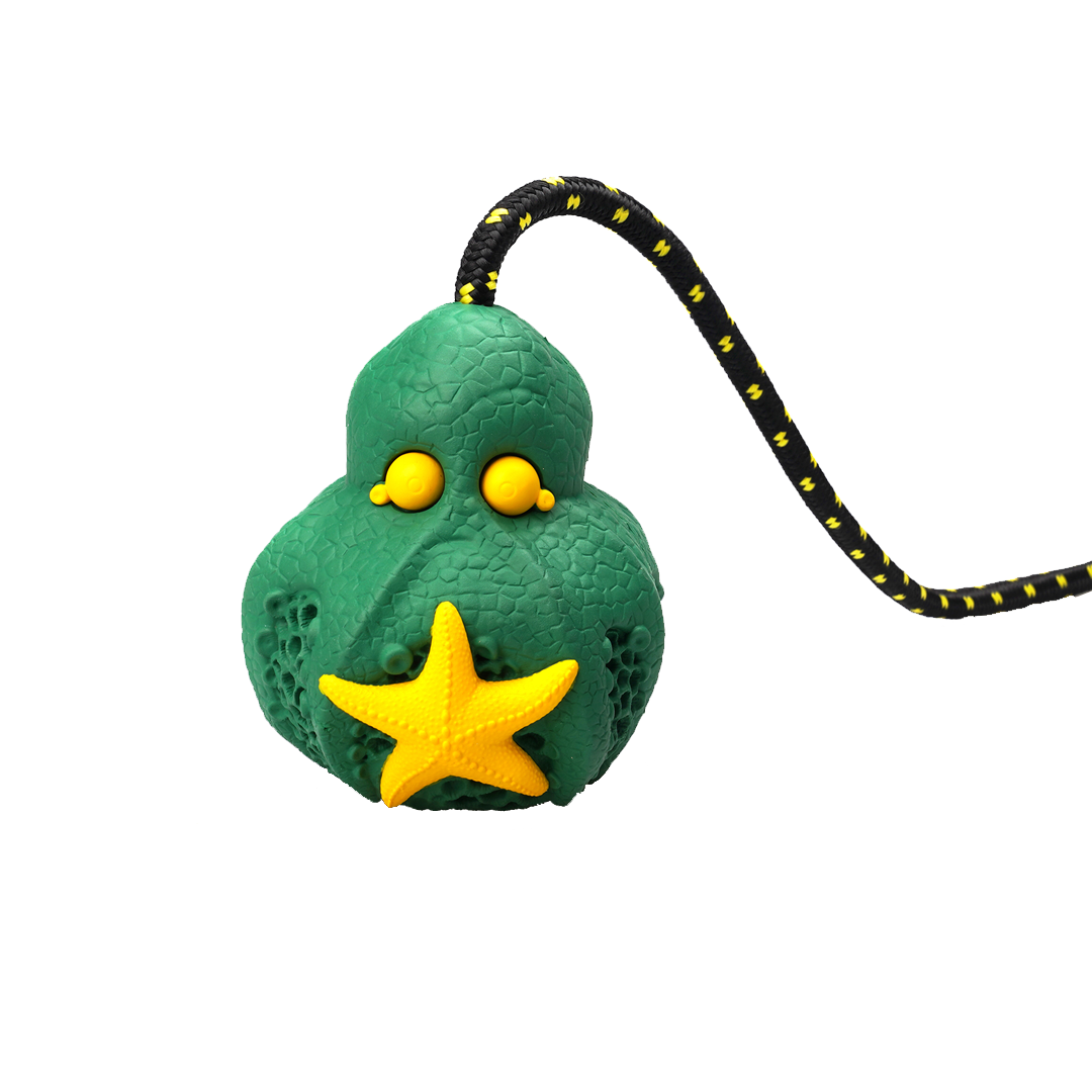 PETOPIA Ultra Tough Dog Toy Reef Octopus