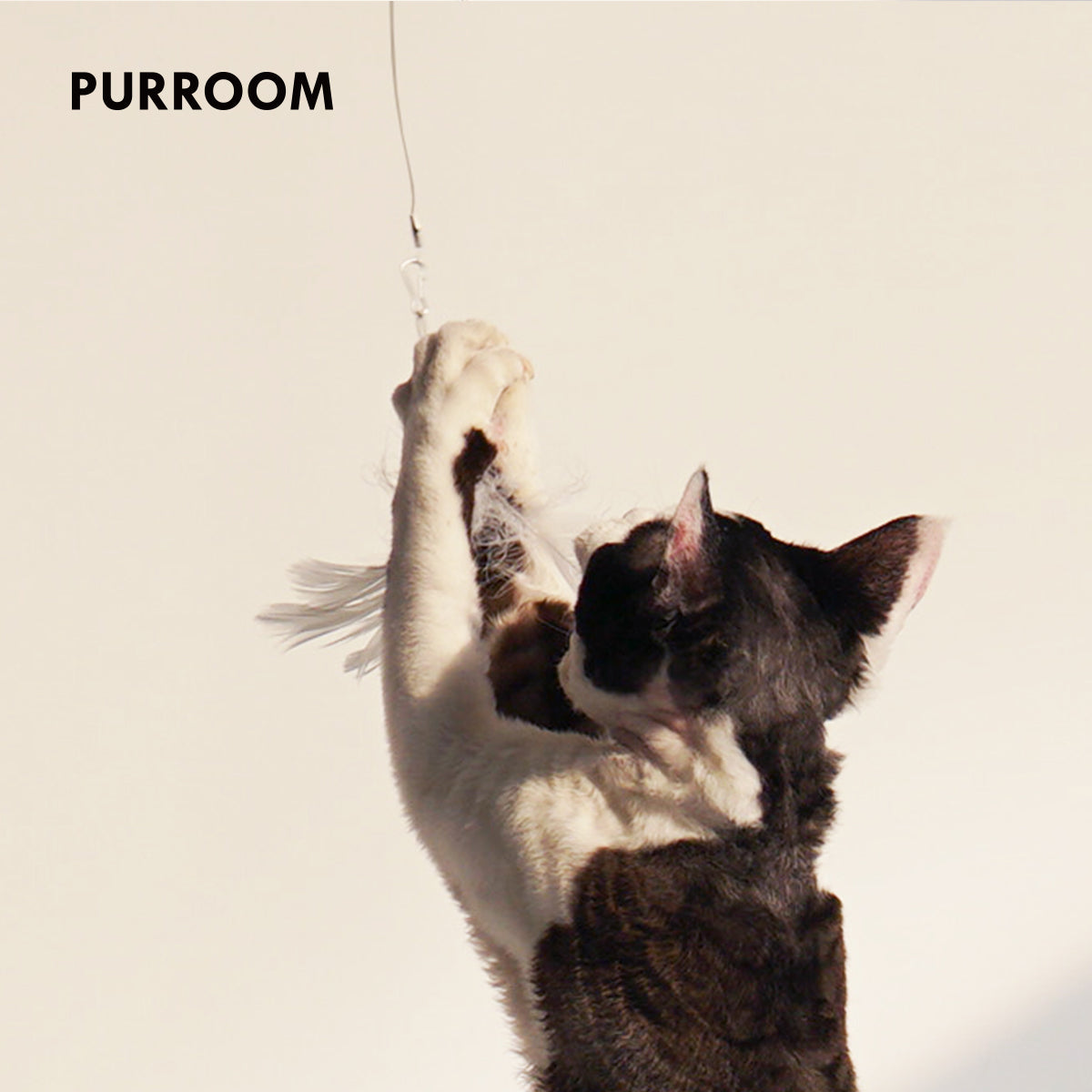 PURROOM Retractable Cat Teaser