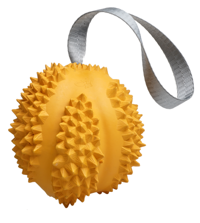 PETOPIA Ultra Tough Dog Toy Durable Durian