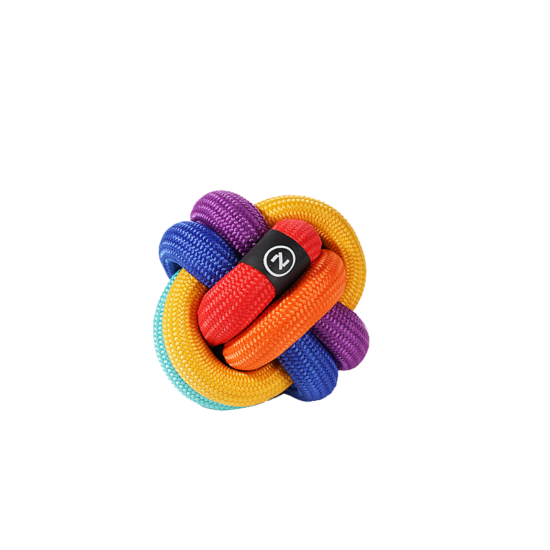 PAWZCITY Interactive Rope Ball - Rainbow Dare To Love