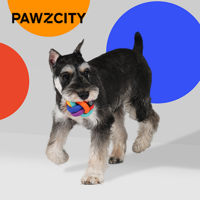 PAWZCITY Interactive Rope Ball - Rainbow Dare To Love