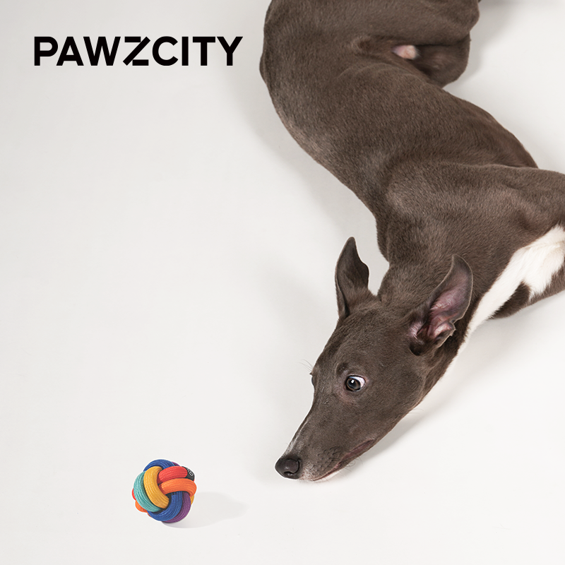 PAWZCITY Interactive Rope Ball - Rainbow Dare To Love