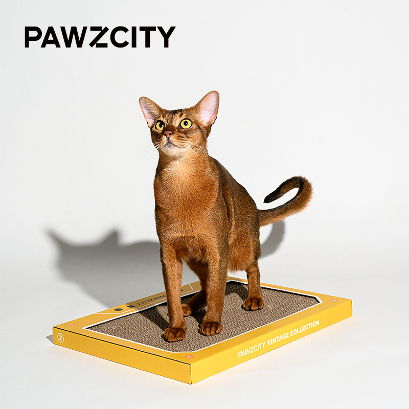 PAWZCITY Vintage Tape Cat Scratching Board - A