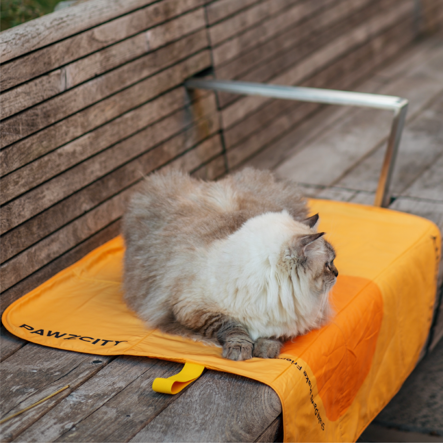 PAWZCITY Waterproof Travel Mat - Avocado