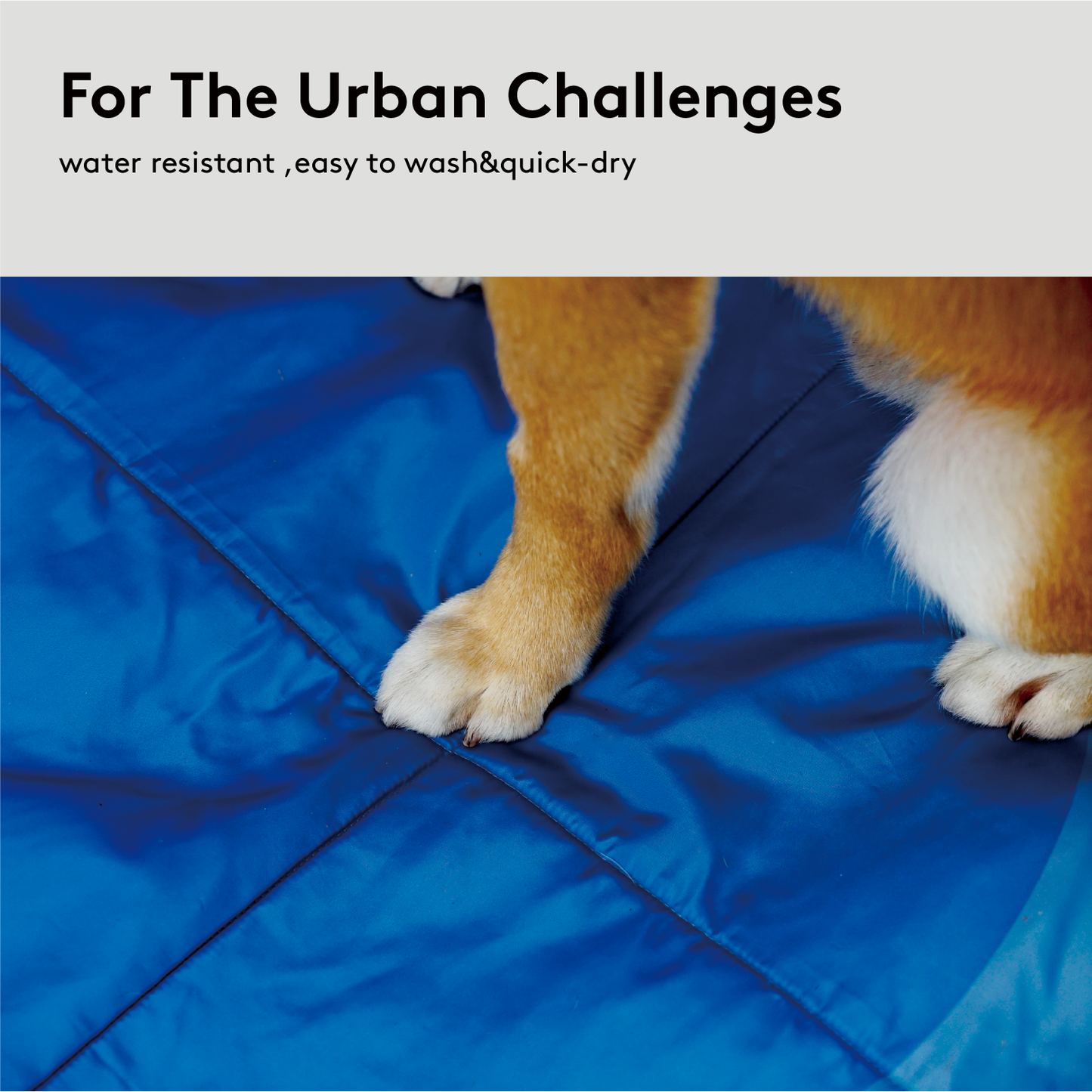 PAWZCITY Waterproof Travel Mat - Miami Blue