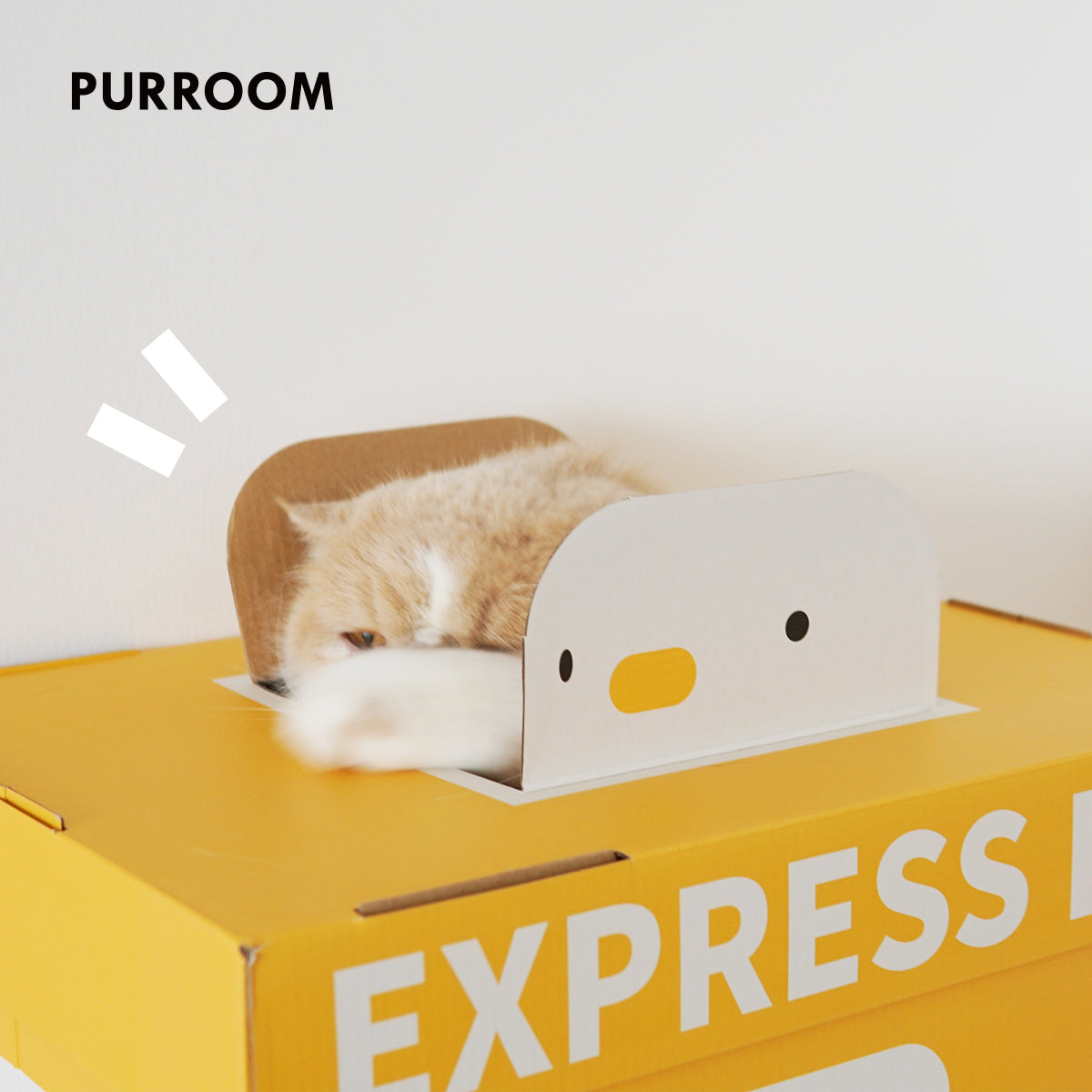 PURROOM Cat Scratching Box - Express Box