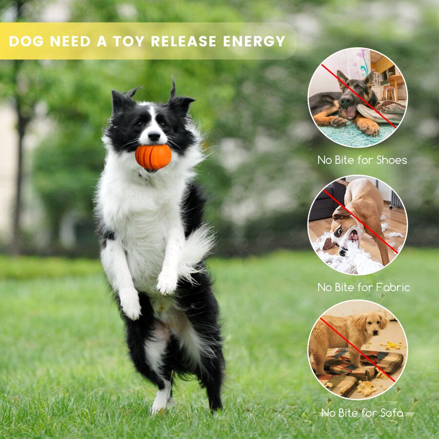 PETOPIA Ultra Tough Dog Toy Zesty Orange