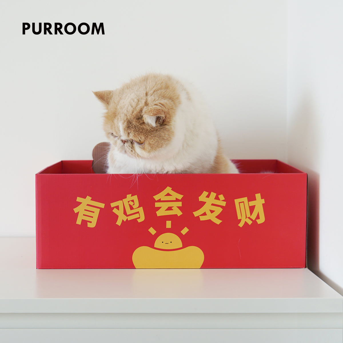 PURROOM Fortune Cat Scratching Box