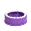 PETOPIA Ultra Tough Dog Toy Birthday Cake