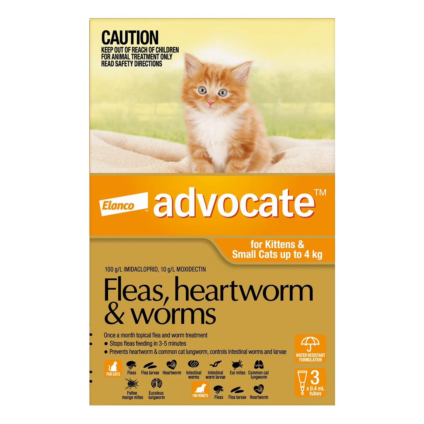 Advocate For Kitten & Small Cats Up To 4KG Orange