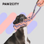 PAWZCITY Interactive Rope Stick With Loop - Taro