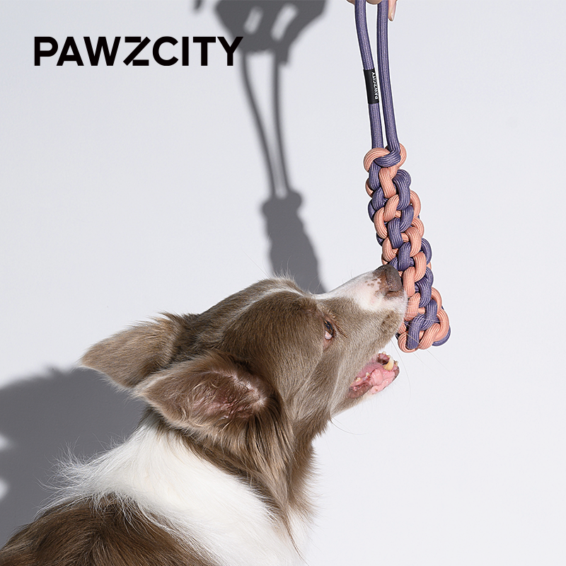 PAWZCITY Interactive Rope Stick With Loop - Taro