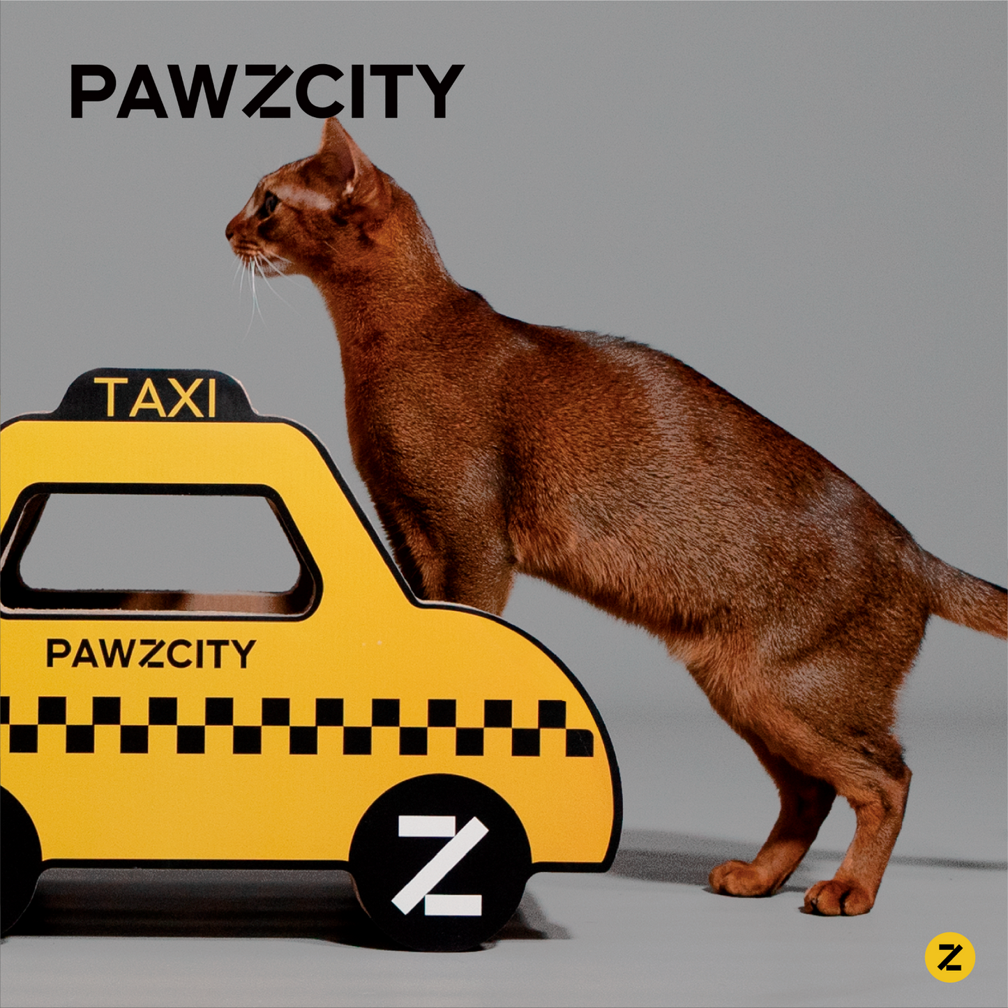 PAWZCITY Cat Scratcher Board - Taxi