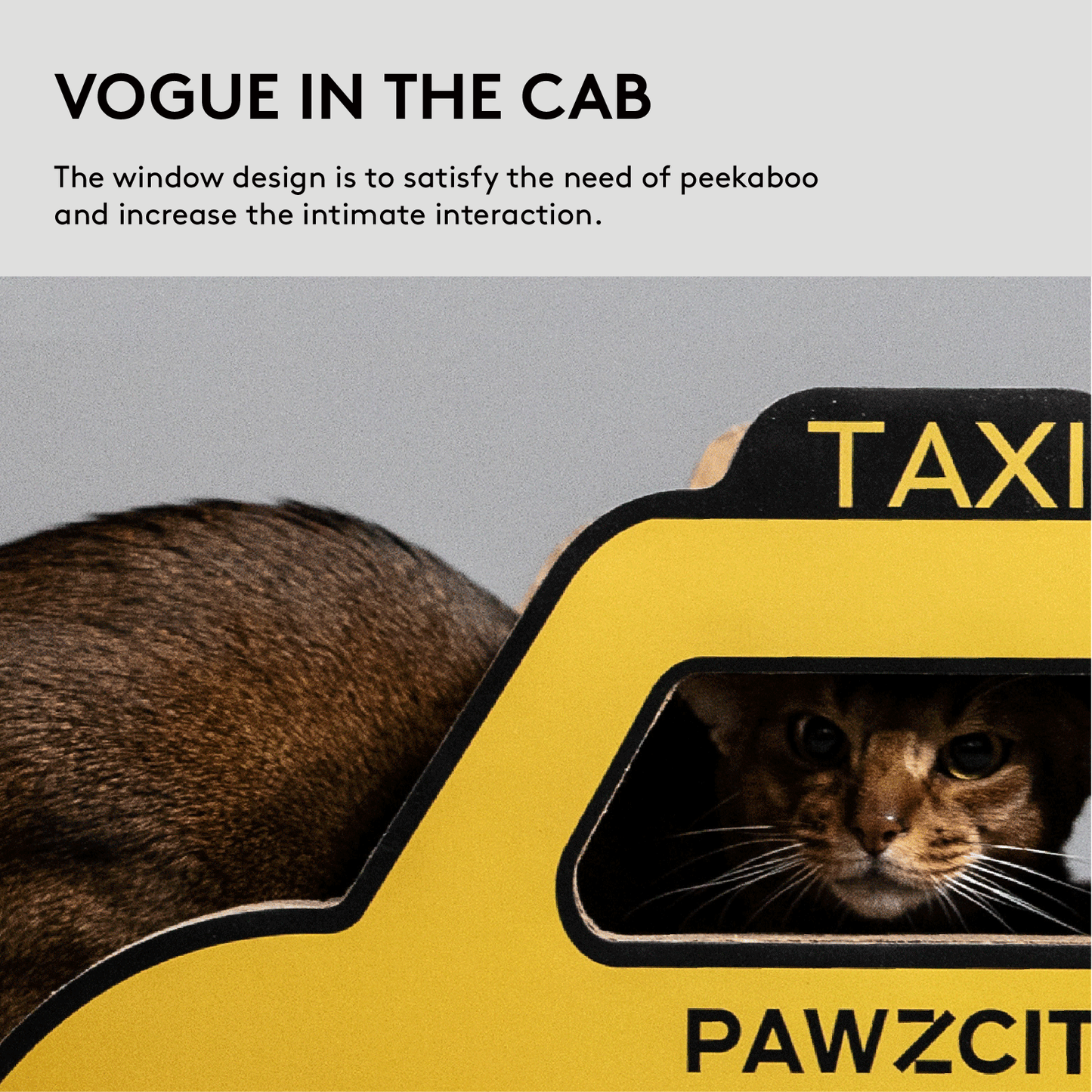 PAWZCITY Cat Scratcher Board - Taxi