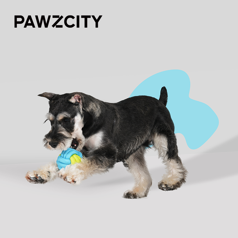 PAWZCITY Interactive Rope Ball - Manhattanhenge