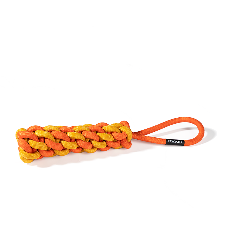 PAWZCITY Interactive Rope Stick With Loop - Bergamot