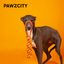 PAWZCITY Interactive Rope Stick With Loop - Bergamot