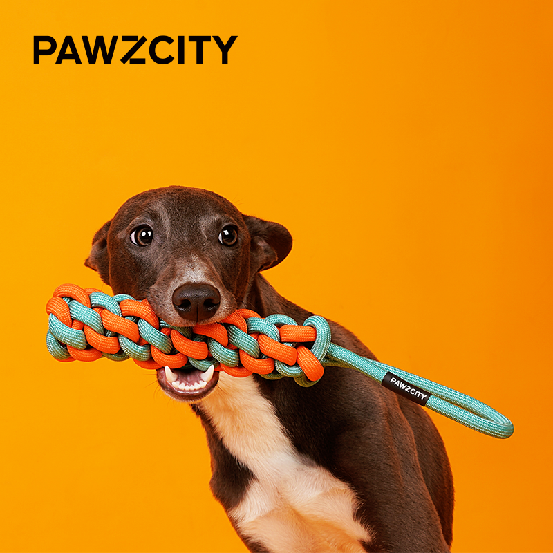 PAWZCITY Interactive Rope Stick With Loop - Bergamot