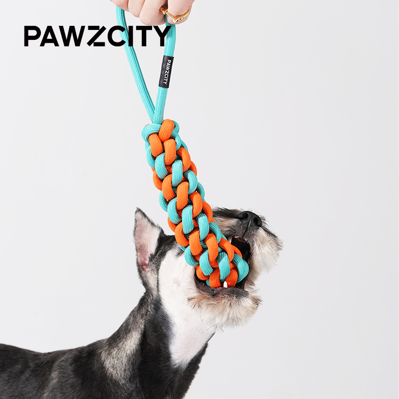 Usb Stick Mini Rope Loop PAWZCITY Interactive Rope Stick With Loop - Rockmelon – Mouser Pet Supplies