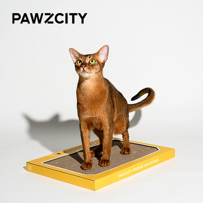 PAWZCITY Vintage Tape Cat Scratching Board - B