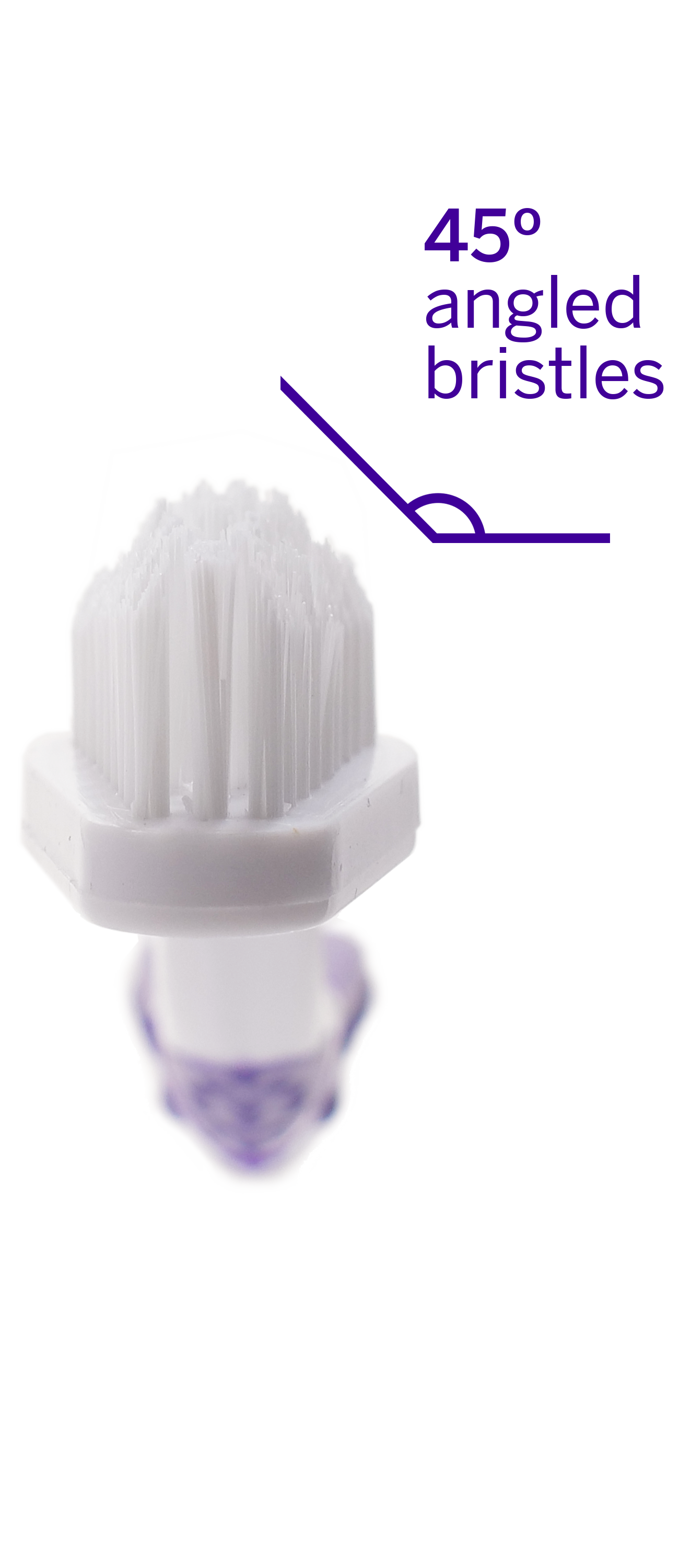 PETSMILE Professional Pet Toothbrush - Patented 45° Dual-Ended Brush Head