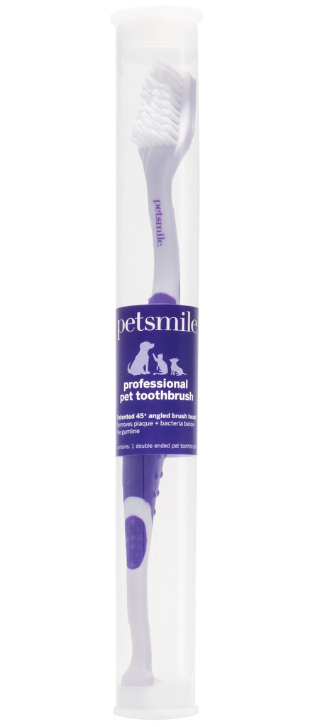 Target dog toothbrush hotsell